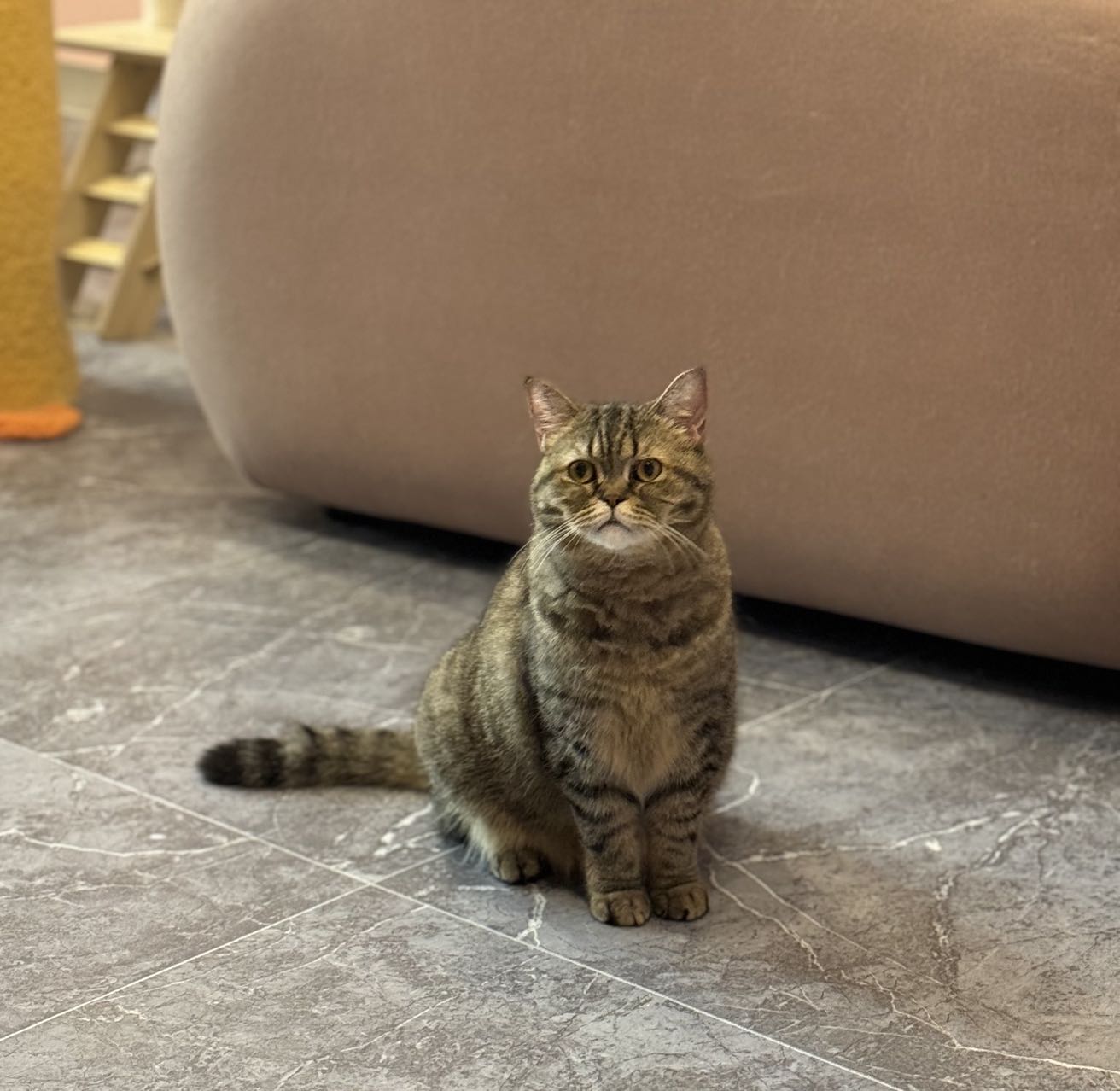 Visit the Lounge