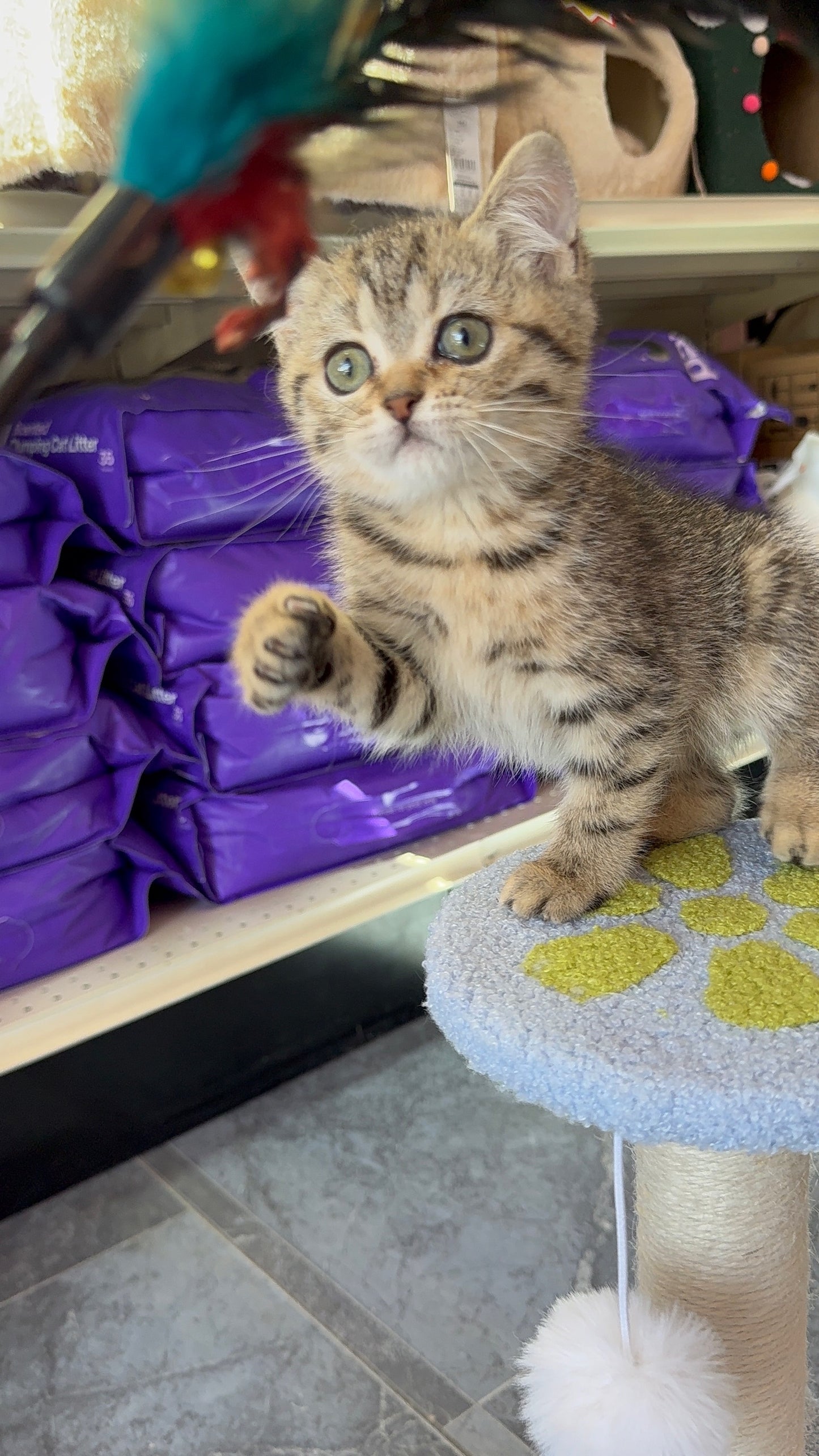Luna